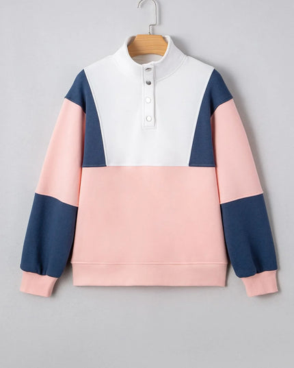 Colorblock Patchwork Half Button Baggy Sweatshirt