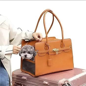 Premium Leather Pet Carrier