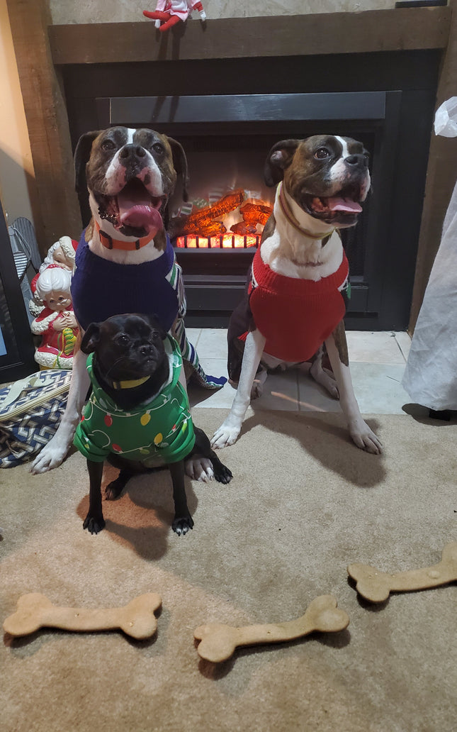 1 Jumbo Biscuit- Peanut Butter & Honey