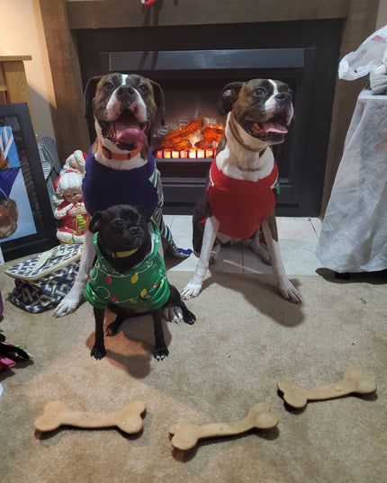 1 Jumbo Biscuit- Peanut Butter & Honey