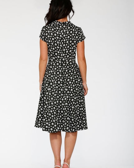 20551 Cat Paw Swing Dress in Black