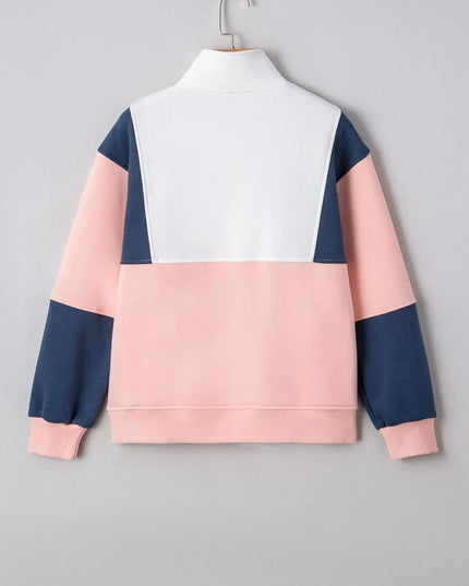Colorblock Patchwork Half Button Baggy Sweatshirt