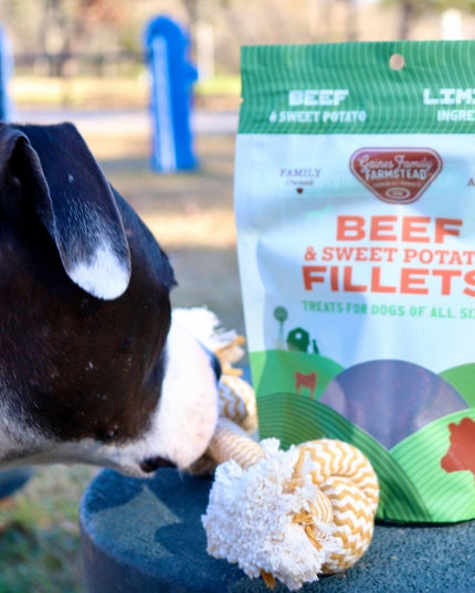 Beef and Sweet Potato Fillets