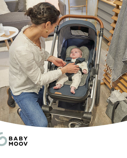 Cozymorpho Stroller & Seat Infant Insert