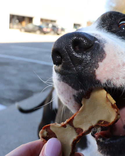 Cheese Drizzled Sweet Potato Bones
