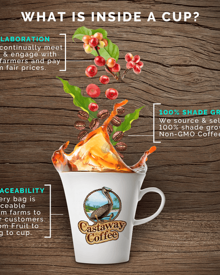 Monsoon Malabar Coffee Blend