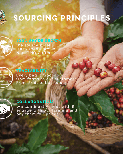 Monsoon Malabar Coffee Blend