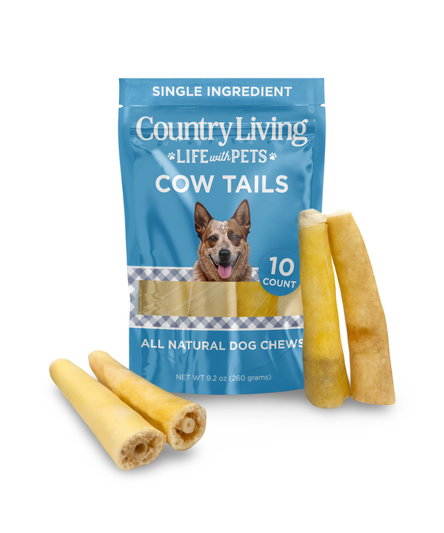 Country Living 5”-7” Cow Tails Dog Chews – 10 Count Bag – All-Natural, Single-Ingredient, Long-Lasting Beef Chews – High-Protein, Grain-Free – Promotes Dental Health