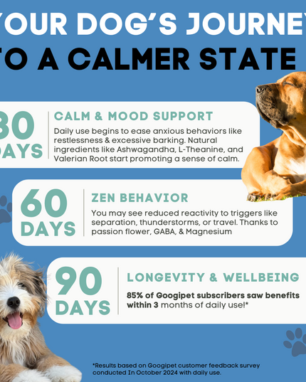 Hemp Calming Chews for Dogs
