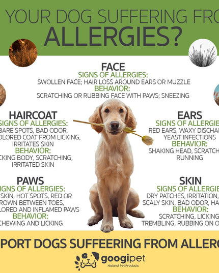Allergy & Immune Support Chews for Dogs (Coconut & Carob Flavor)