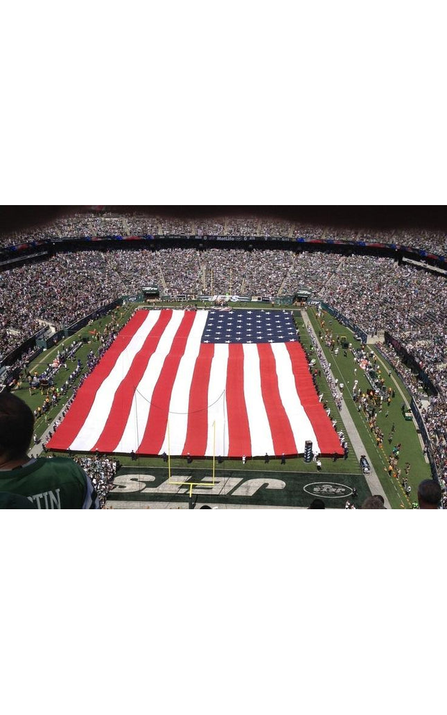 American Field Flag with Handles - Nylon