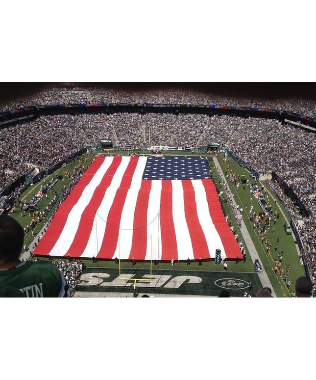 American Field Flag with Handles - Nylon
