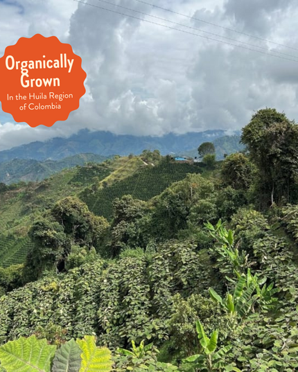 Howler | Decaf Single Origin | Colombia | Sugarcane EA Decaffeinated (Wholesale)