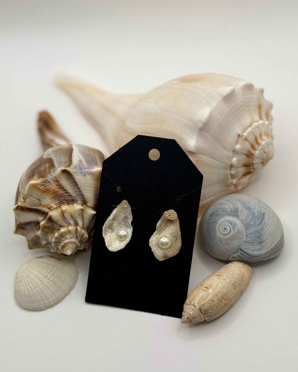 Oyster Shell Stud Earrings