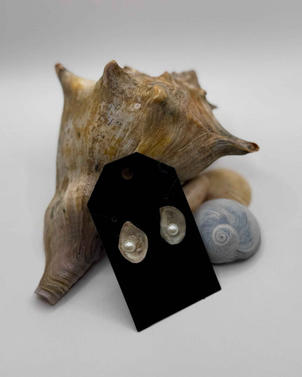 Oyster Shell Stud Earrings