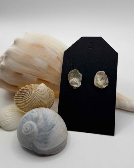 Oyster Shell Stud Earrings