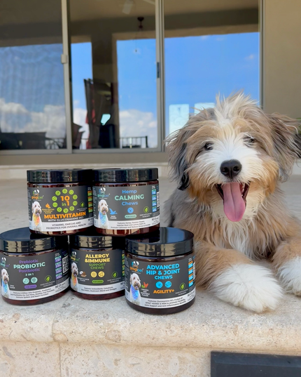 Allergy & Immune Support Chews for Dogs (Coconut & Carob Flavor)