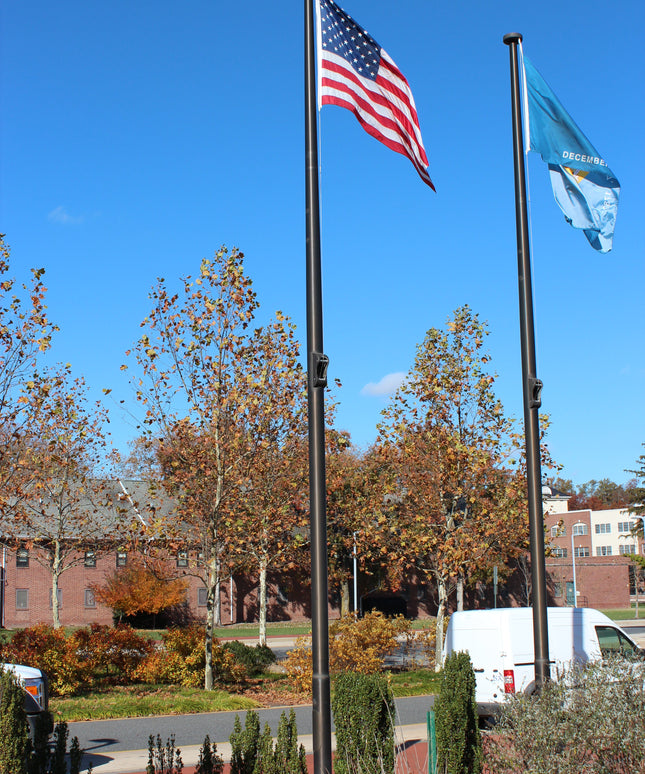Automatic Aluminum Flagpole