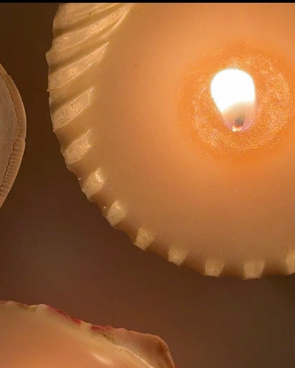 DIY Seashell Candle Kit: Soy Wax Candles