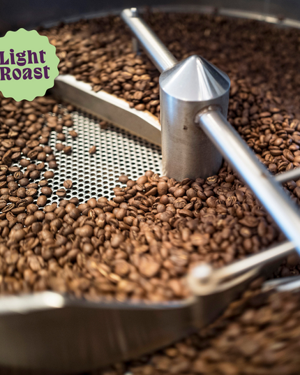 Lil' Red | Decaf Single Origin | Colombia | Swiss Water Press Decaffeinated (Wholesale)