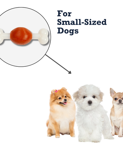 Country Living TPR & Nylon Bone Dog Chew Toy - Beef-Flavored, Ideal for Small Dogs