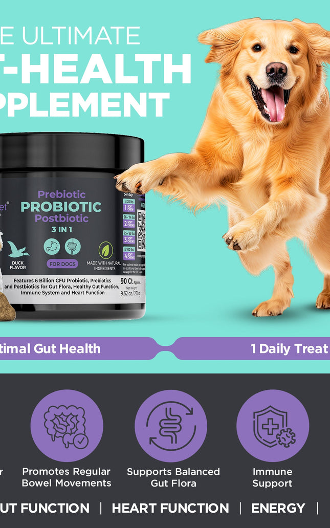 3 in 1 Probiotic Chews for Dogs