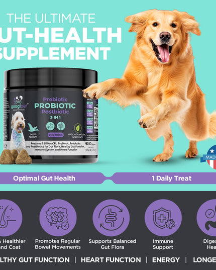 3 in 1 Probiotic Chews for Dogs
