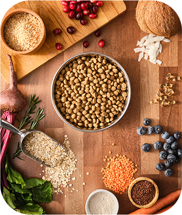 Adult Chicken & Multigrain Recipe