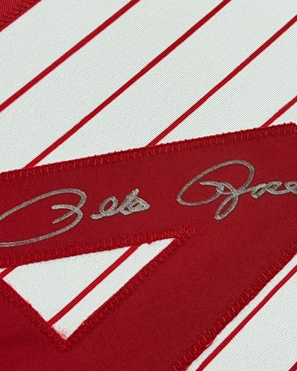 Framed Autographed/Signed Pete Rose 35x39 Cincinnati Pinstripe Baseball Jersey JSA COA