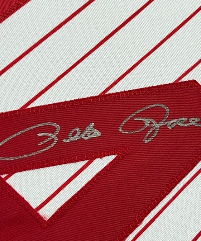 Framed Autographed/Signed Pete Rose 35x39 Cincinnati Pinstripe Baseball Jersey JSA COA