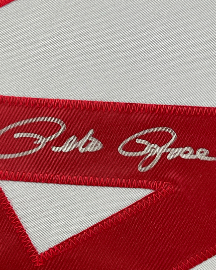 Framed Autographed/Signed Pete Rose 35x39 Cincinnati Grey Baseball Jersey JSA COA