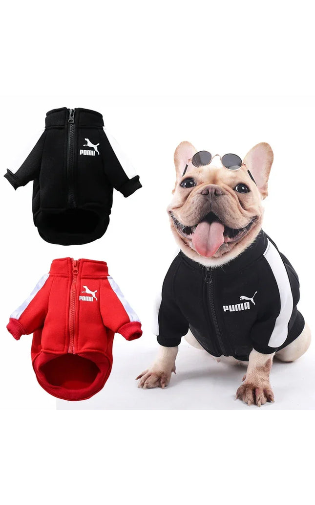 Cozy Winter Puma Dog Coat