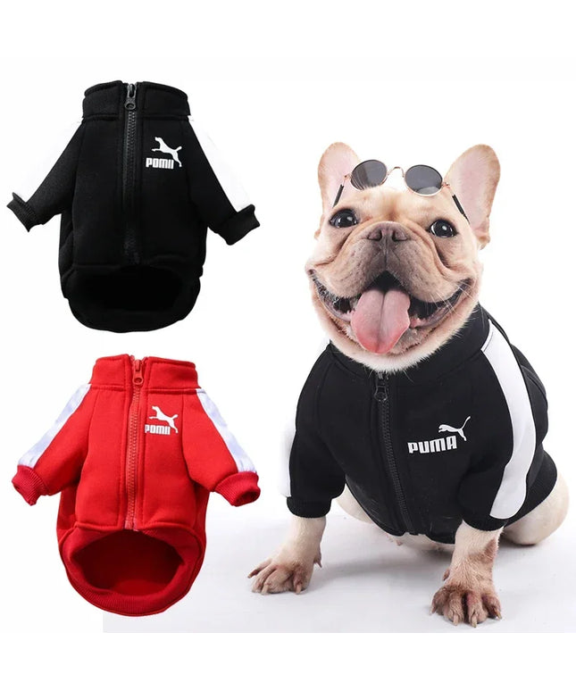 Cozy Winter Puma Dog Coat