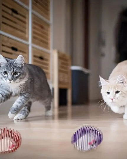 Interactive Cat Toy Ball Set - Spring & Caged Rat Toys