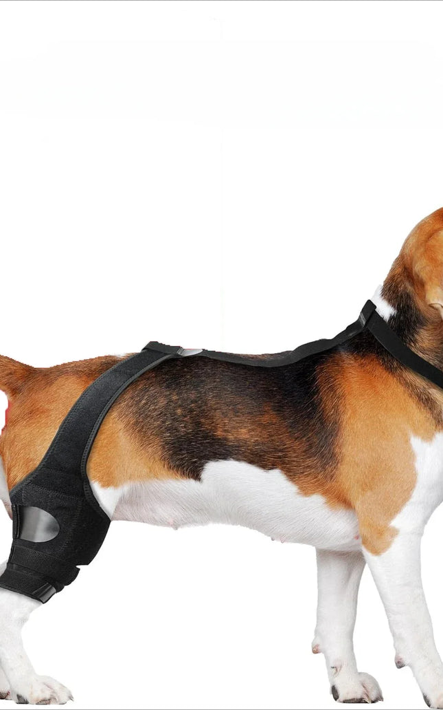Dog Leg Support Brace - Help Your Dog Walk Comfortably Again