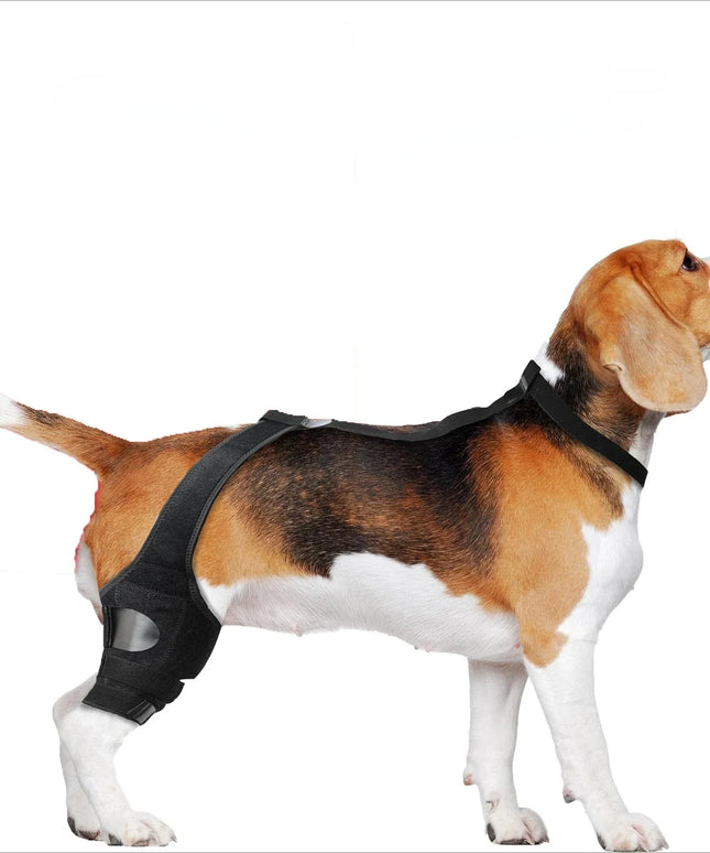 Dog Leg Support Brace - Help Your Dog Walk Comfortably Again