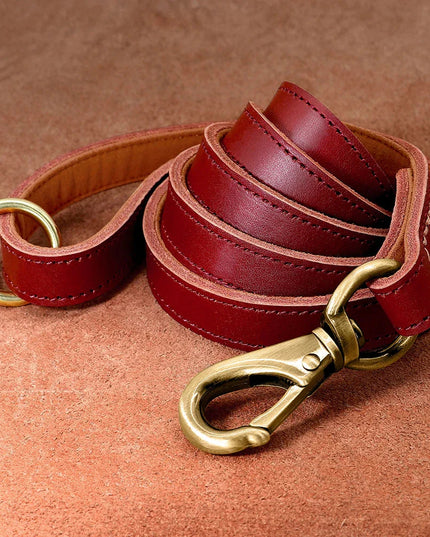 The Classic Leather Lead
