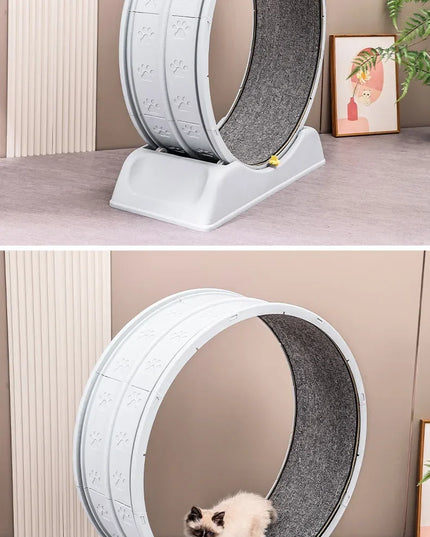 Silent Cat Exercise Wheel