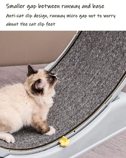 Silent Cat Exercise Wheel