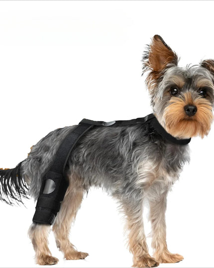 Dog Leg Support Brace - Help Your Dog Walk Comfortably Again