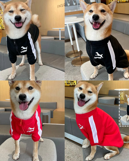 Cozy Winter Puma Dog Coat