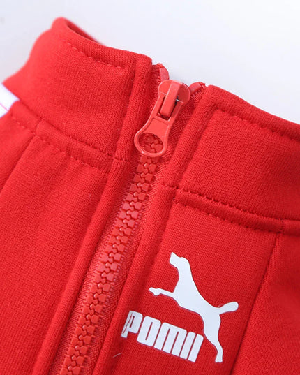Cozy Winter Puma Dog Coat
