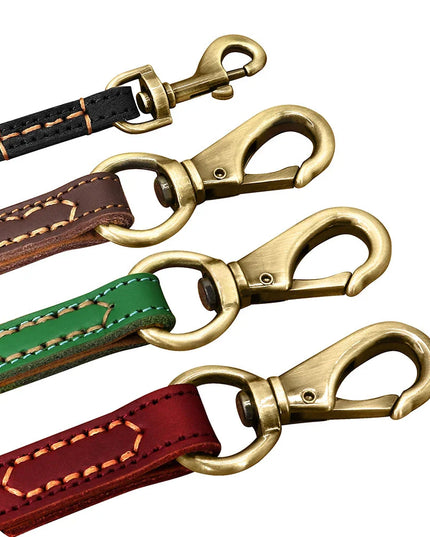 The Classic Leather Lead