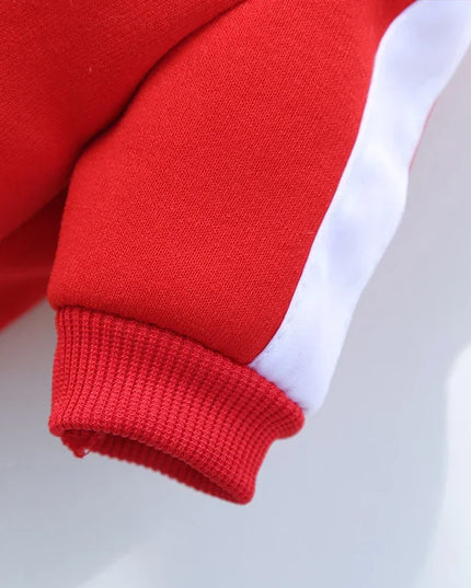 Cozy Winter Puma Dog Coat