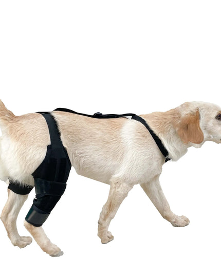Dog Leg Support Brace - Help Your Dog Walk Comfortably Again