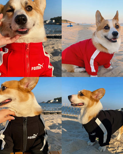 Cozy Winter Puma Dog Coat