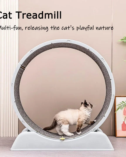 Silent Cat Exercise Wheel
