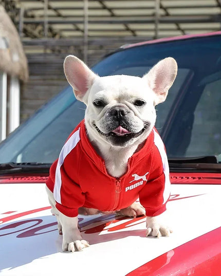 Cozy Winter Puma Dog Coat