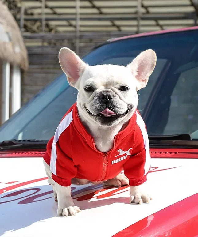 Cozy Winter Puma Dog Coat