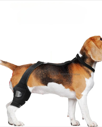Dog Leg Support Brace - Help Your Dog Walk Comfortably Again